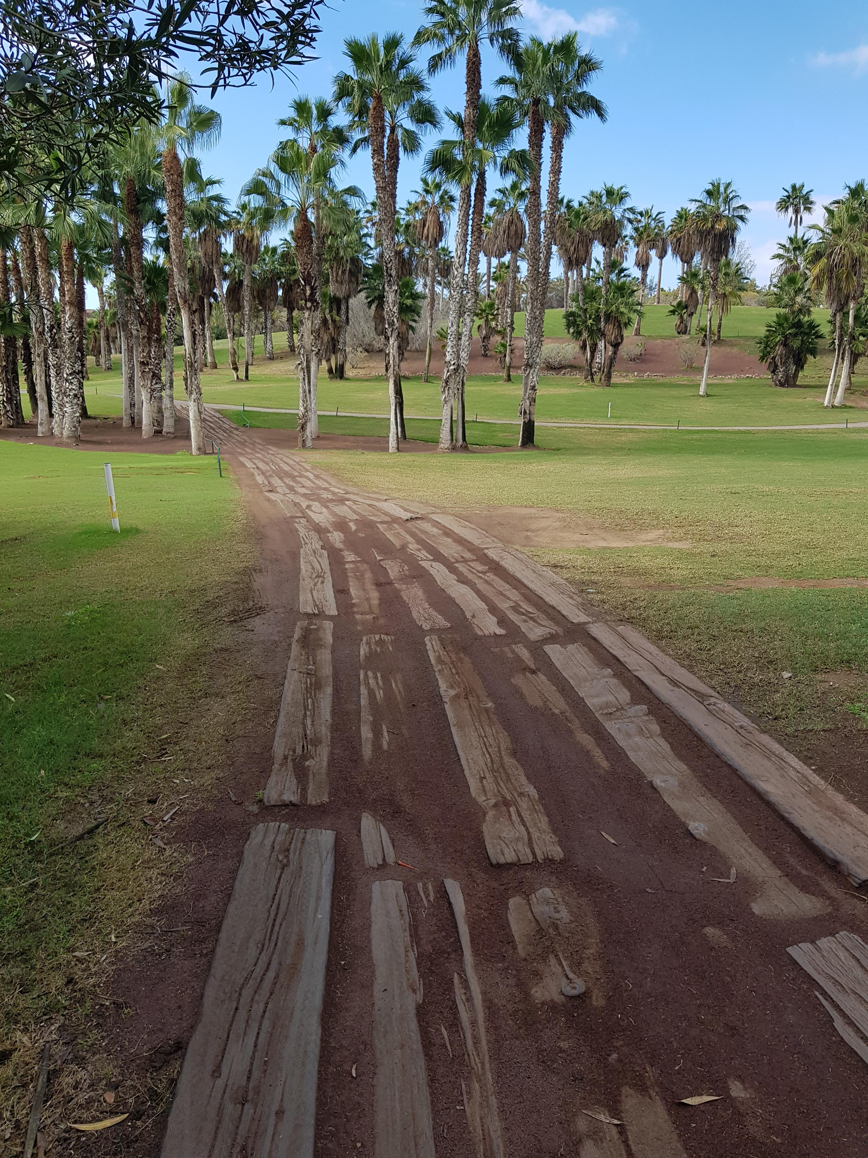 Hotel Las Madrigueras Golf Resort & Spa - Adults Only Playa de las Americas (Tenerife) Exterior foto